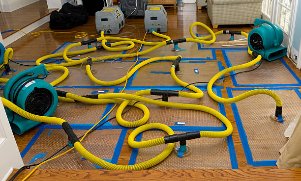 Professional Burst Pipe Water Damage technician working in Rantoul, IL